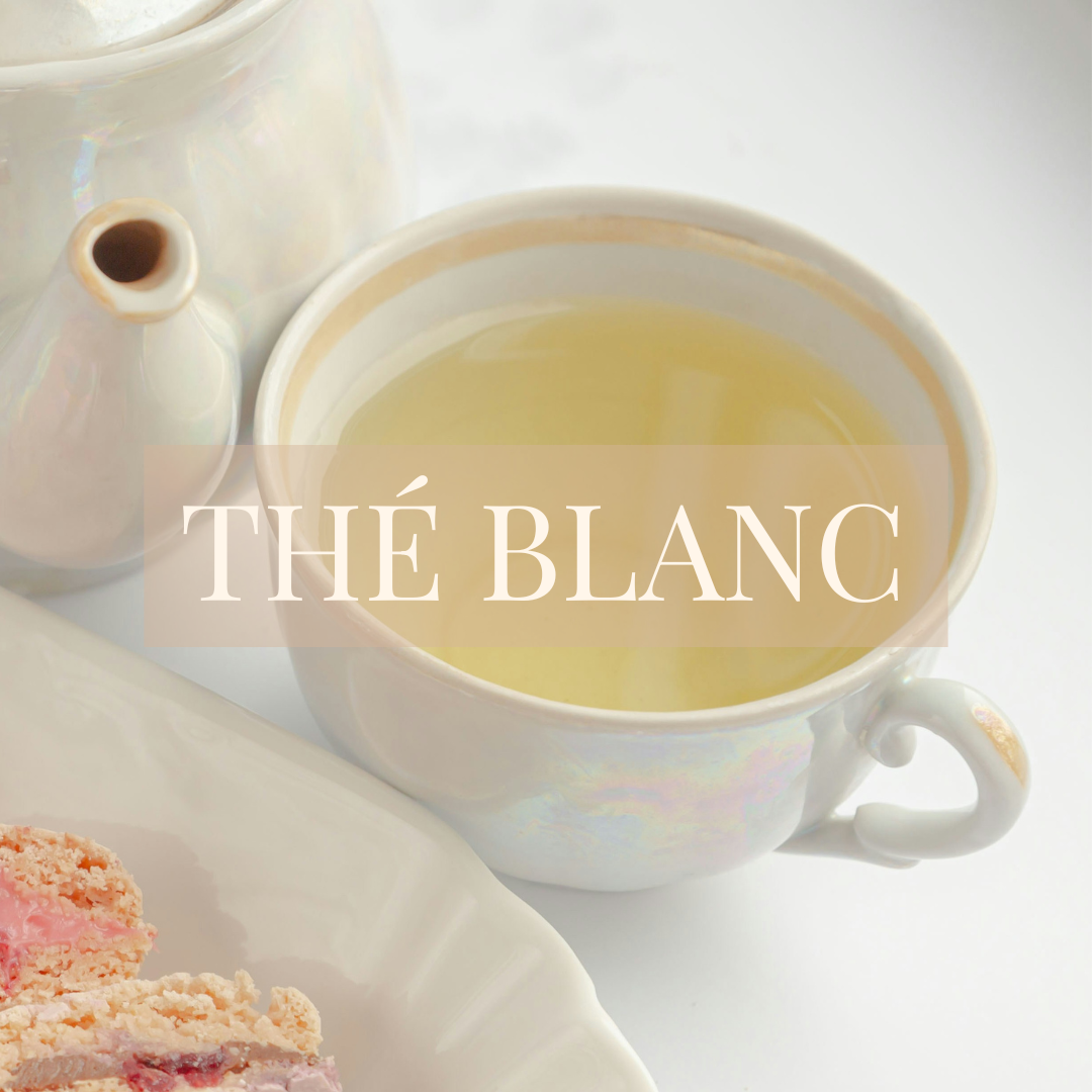 Thés Blancs