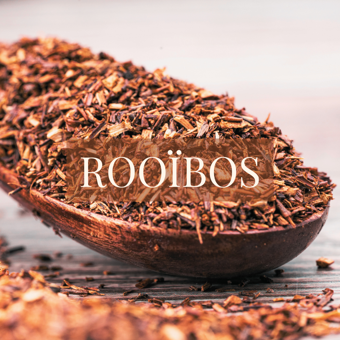 Rooibos