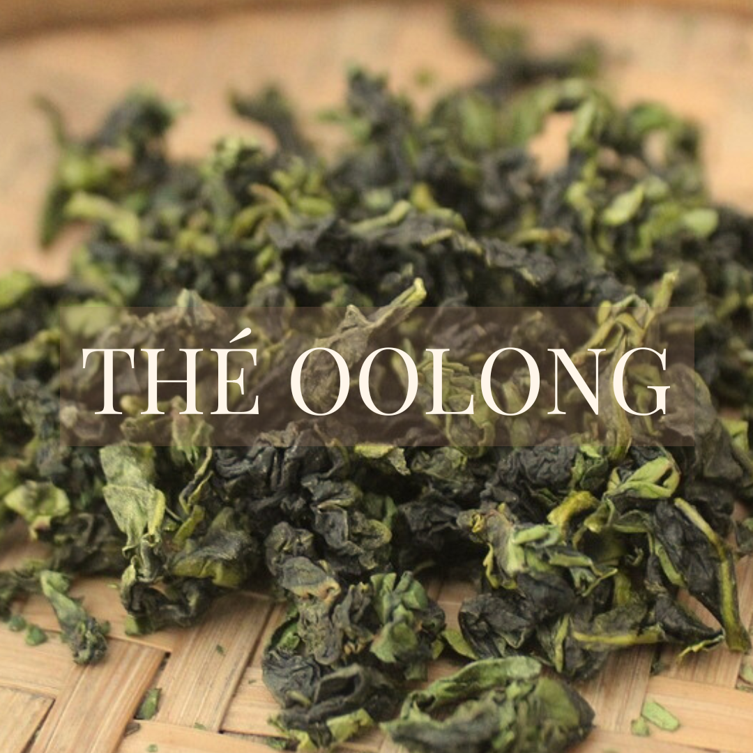 Thé Oolong